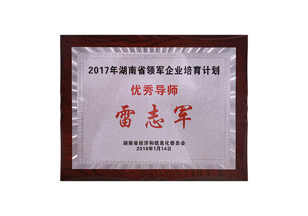 2017年湖南省領軍企業培育計劃優秀導師“雷志軍”牌匾